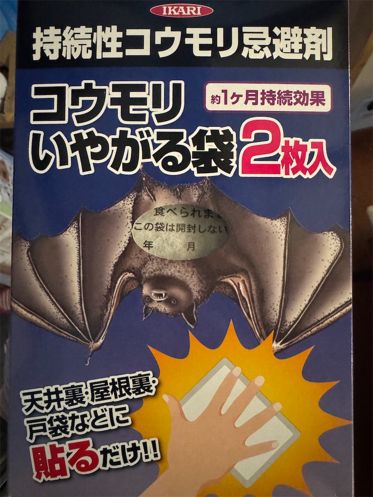 f:id:mp87:20250613222726j:image