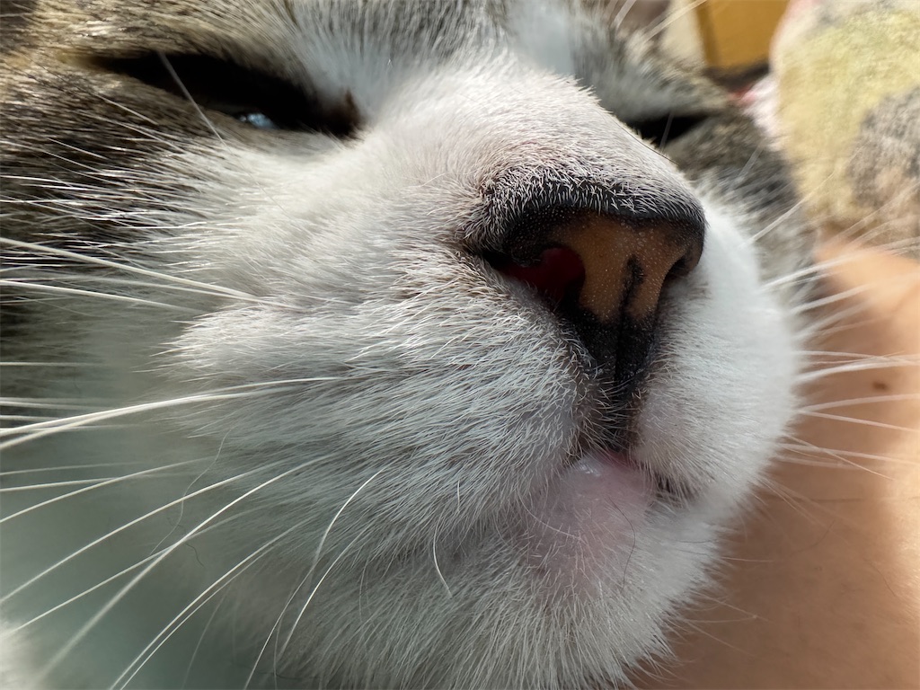 f:id:mp87:20250614203300j:image
