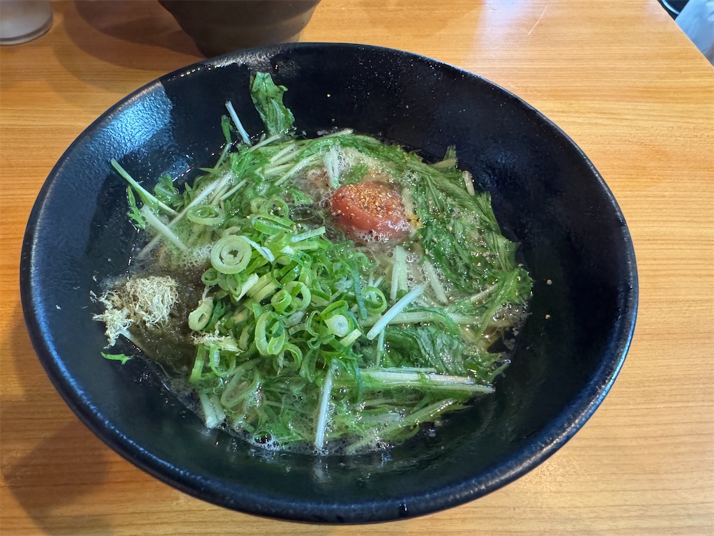 f:id:mp87:20250621230129j:image