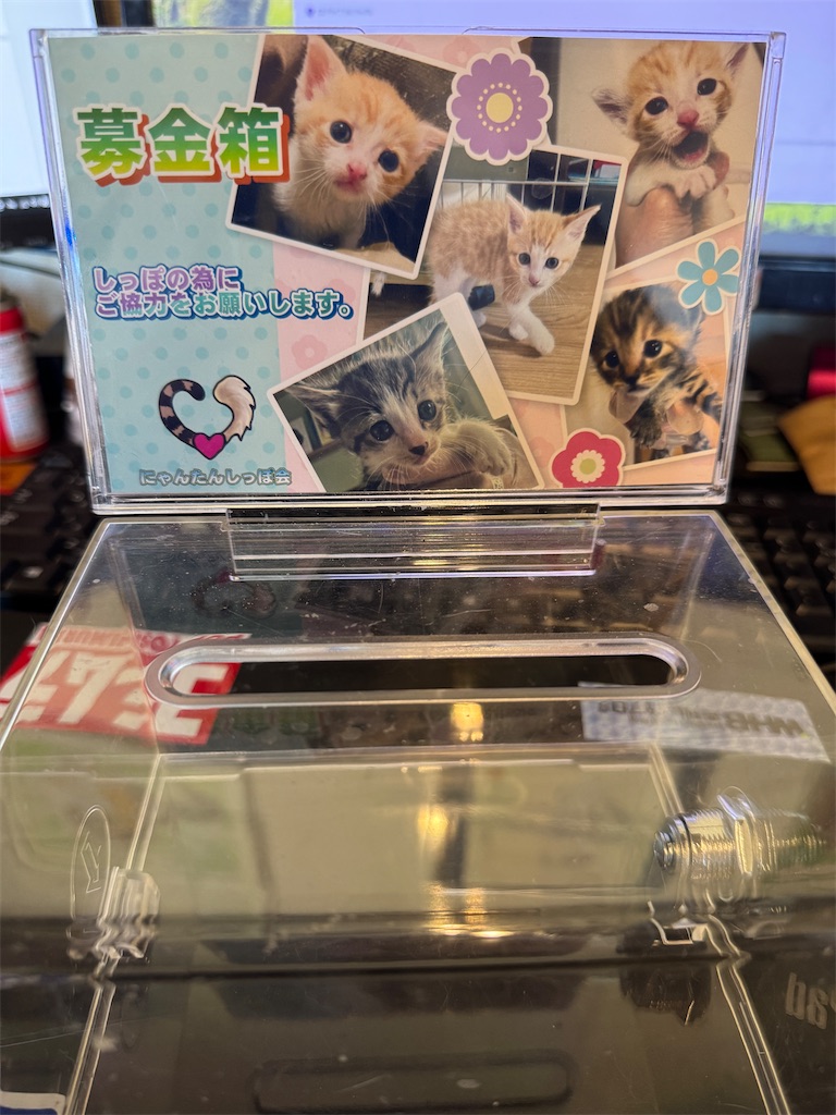 f:id:mp87:20250624211948j:image
