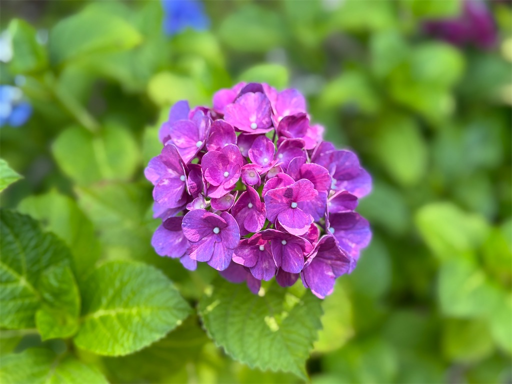 f:id:mp87:20250628211852j:image