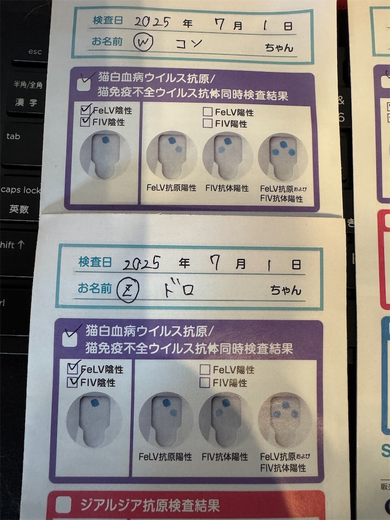 f:id:mp87:20250701223054j:image