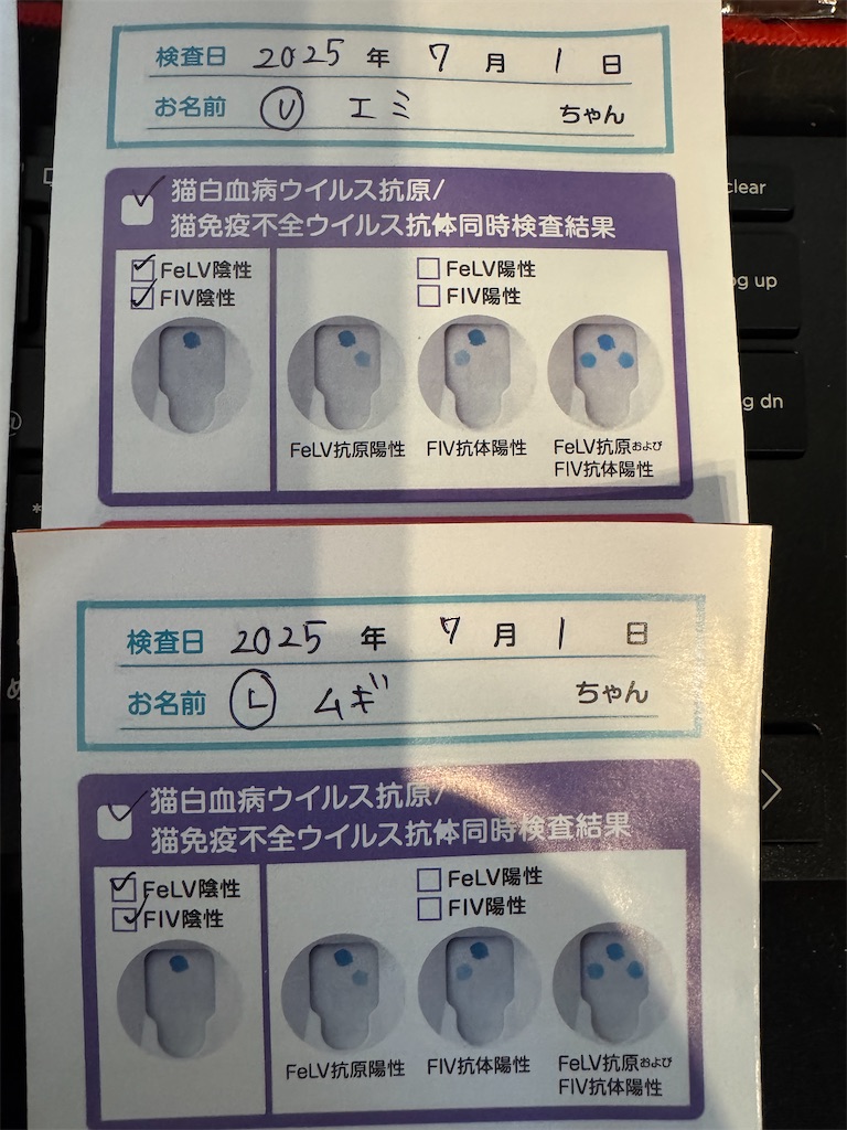 f:id:mp87:20250701223058j:image