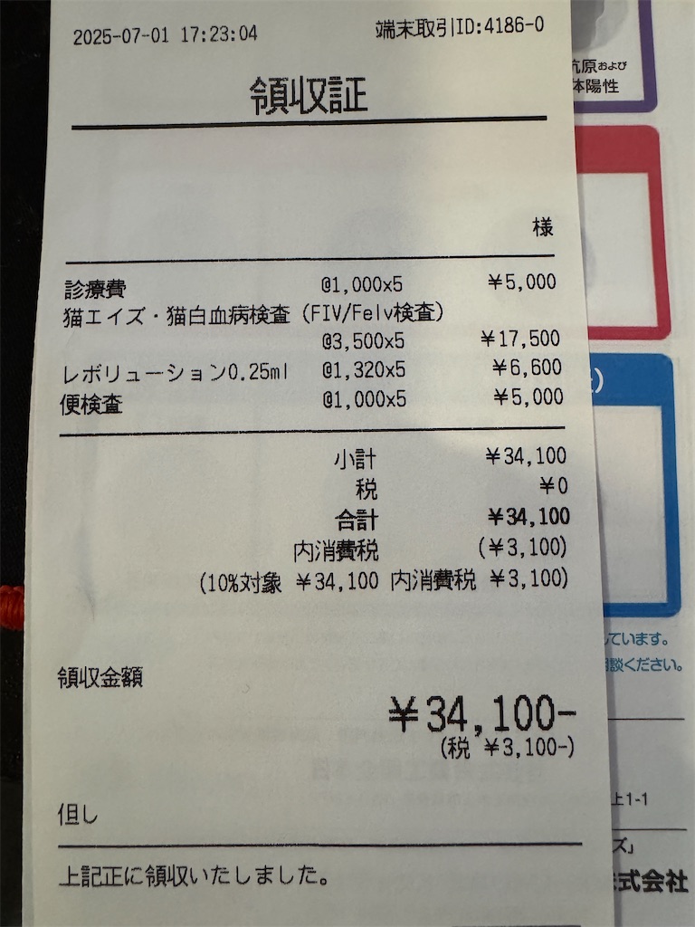f:id:mp87:20250701223258j:image