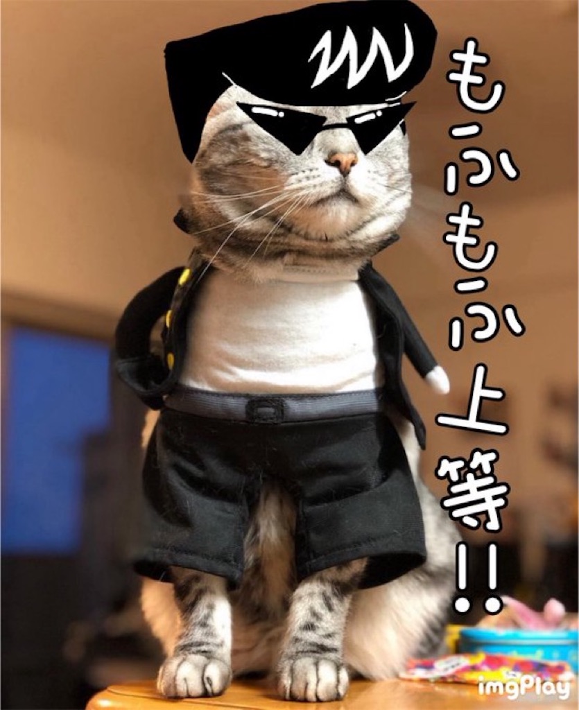 f:id:mp87:20250702211233j:image