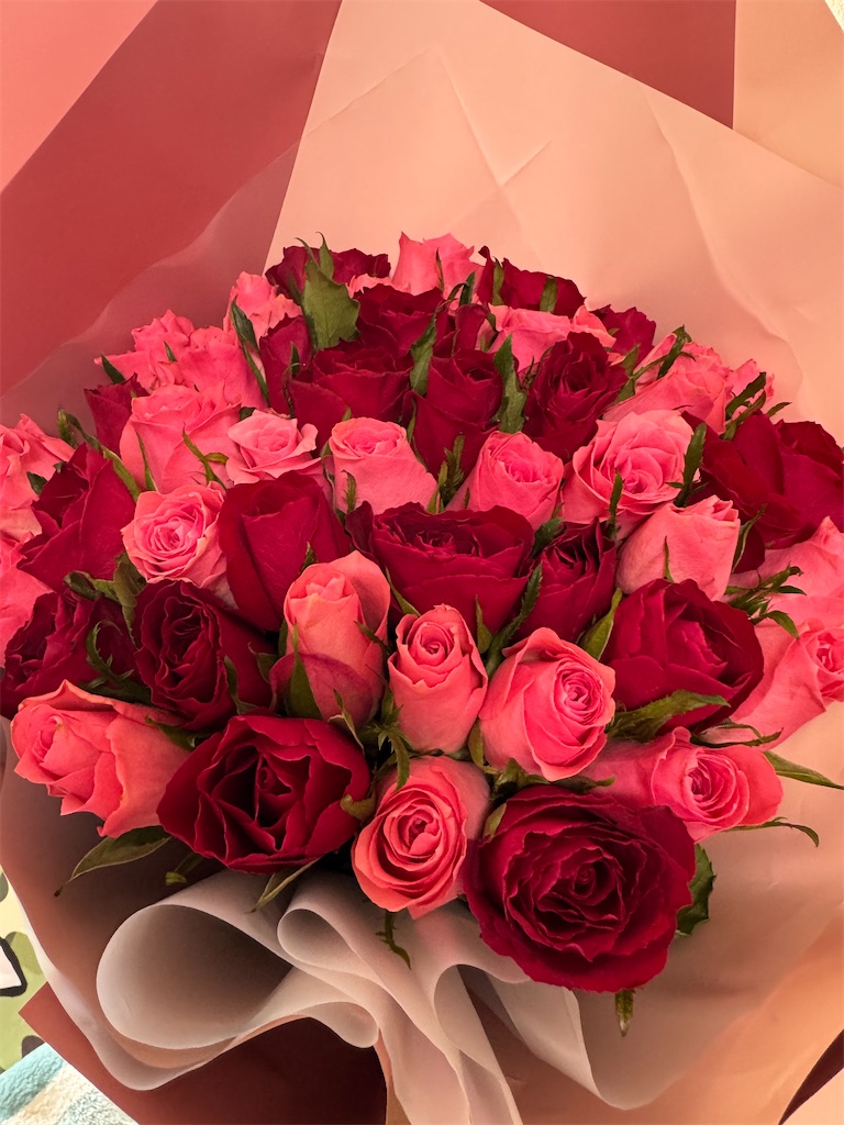 f:id:mp87:20250705200802j:image