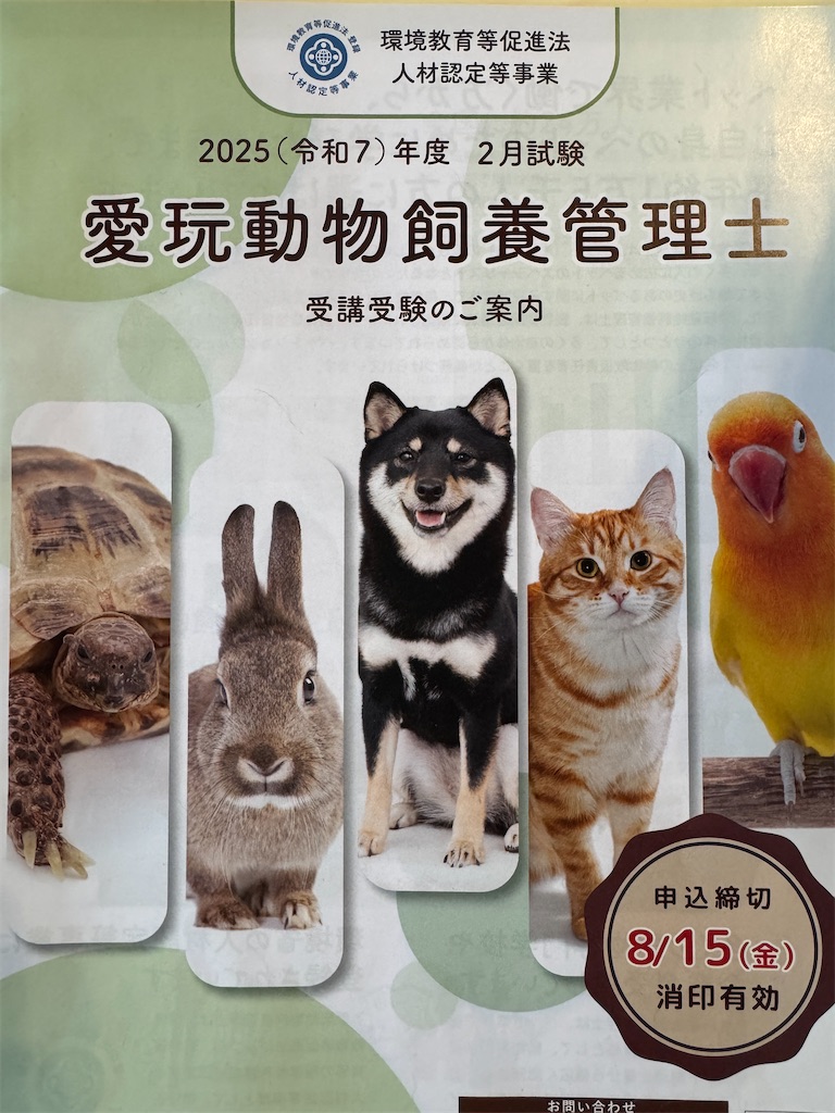 f:id:mp87:20250811200412j:image