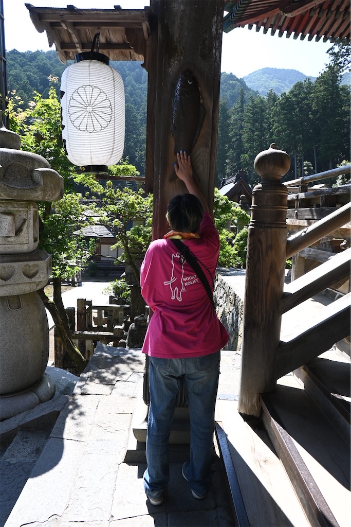 f:id:mp87:20250815223503j:image