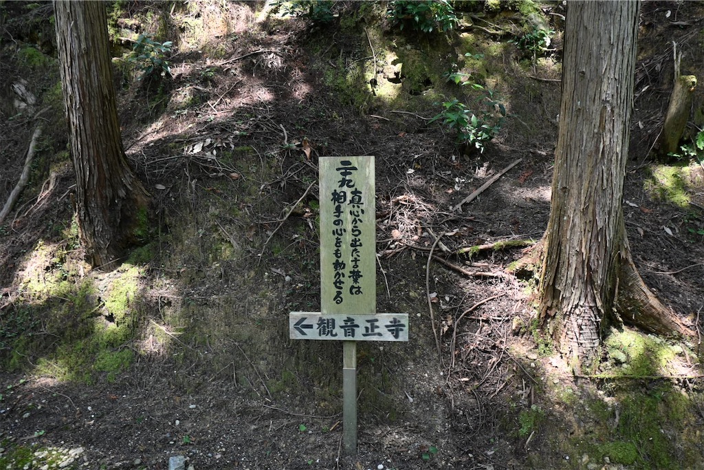 f:id:mp87:20250815225544j:image