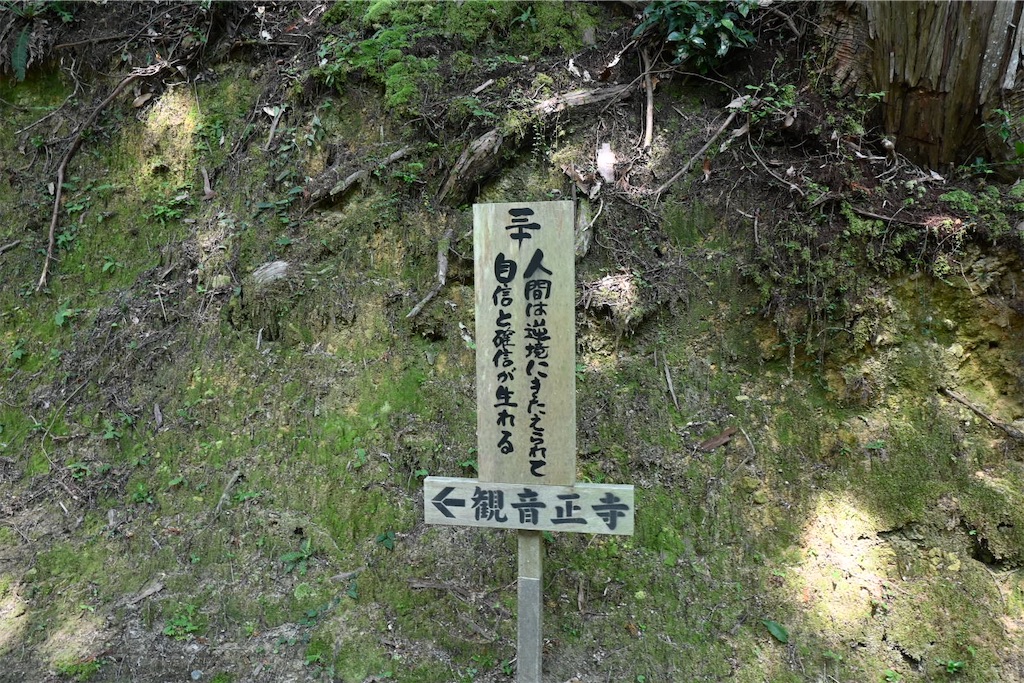 f:id:mp87:20250815225559j:image