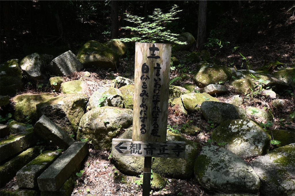 f:id:mp87:20250815225606j:image