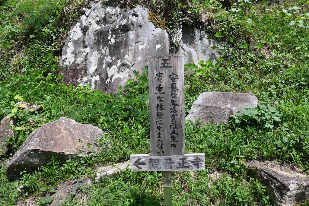 f:id:mp87:20250815225613j:image