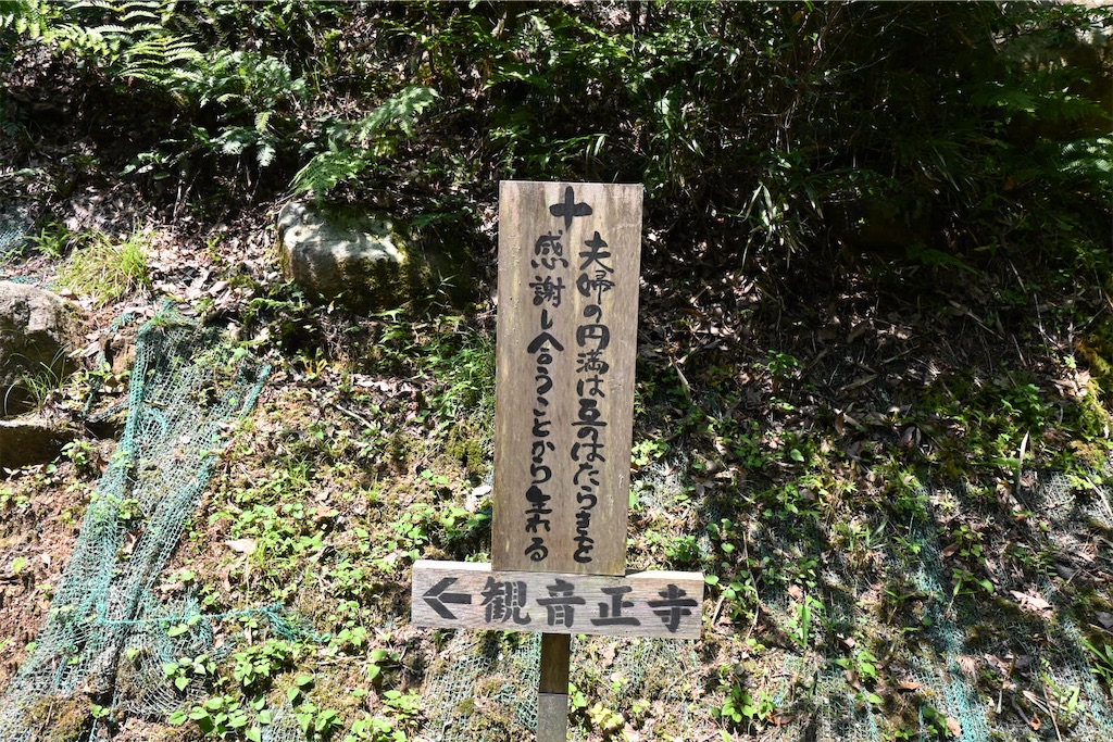 f:id:mp87:20250815225627j:image