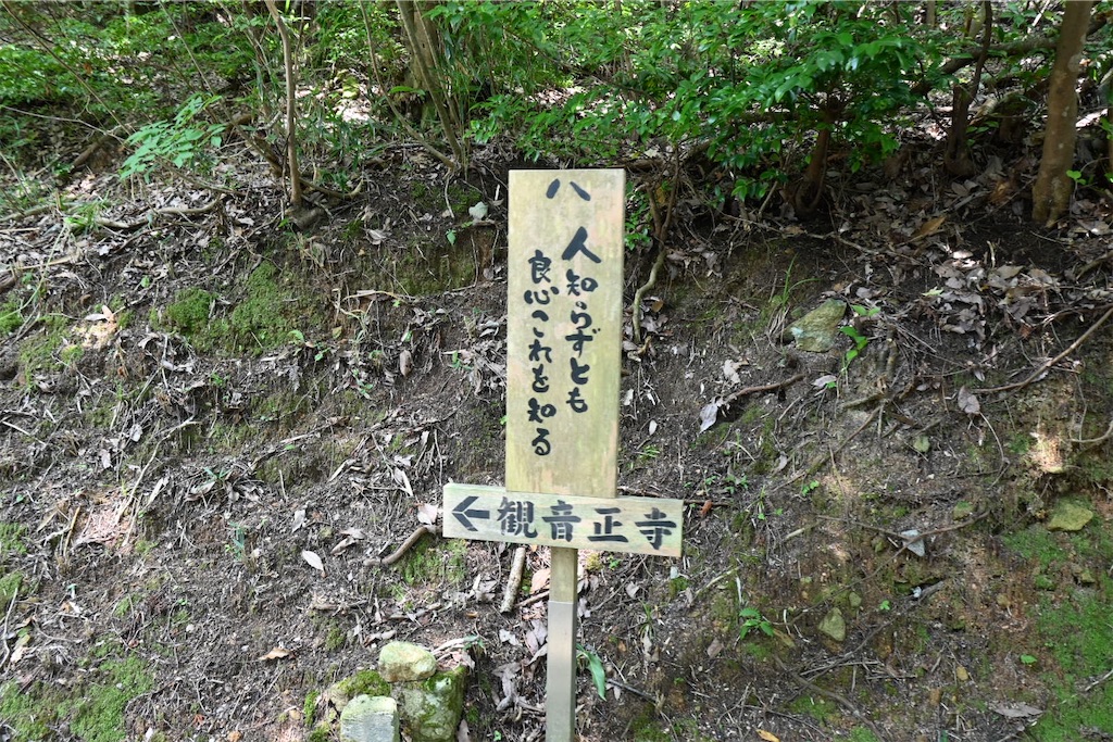 f:id:mp87:20250815225631j:image