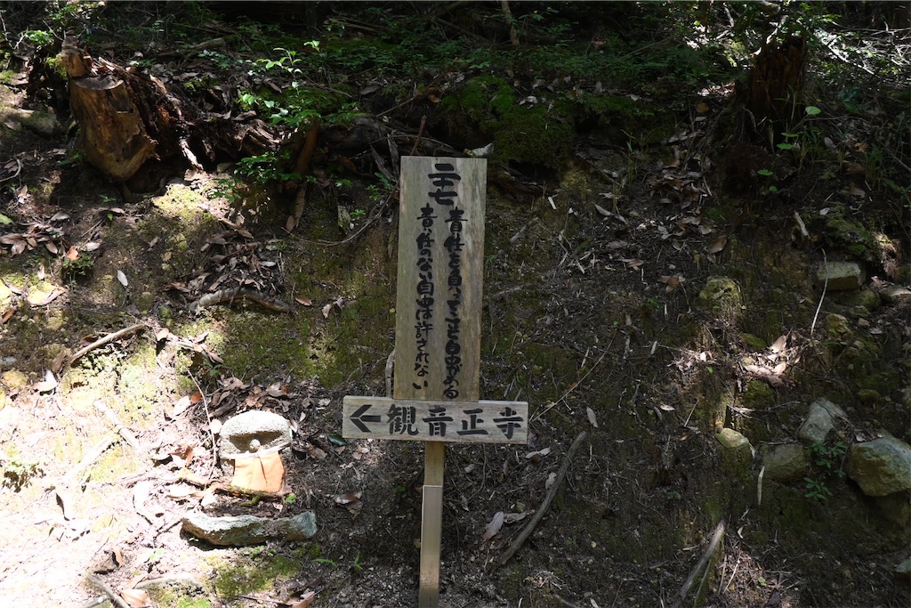f:id:mp87:20250815225637j:image