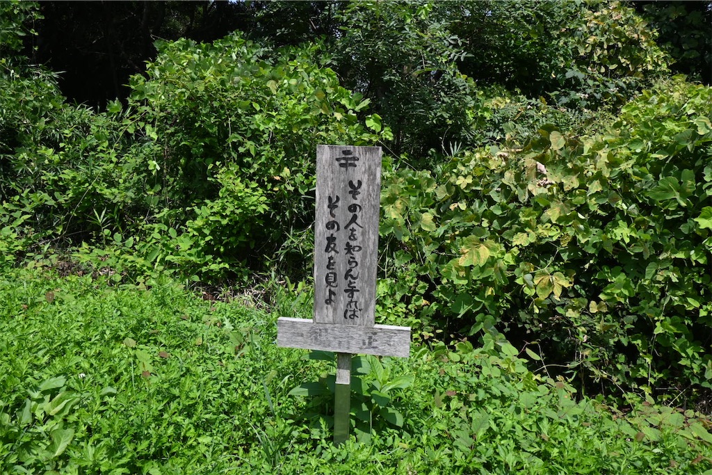 f:id:mp87:20250815225652j:image