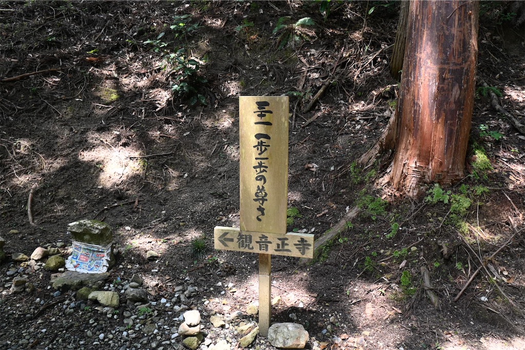 f:id:mp87:20250815225704j:image