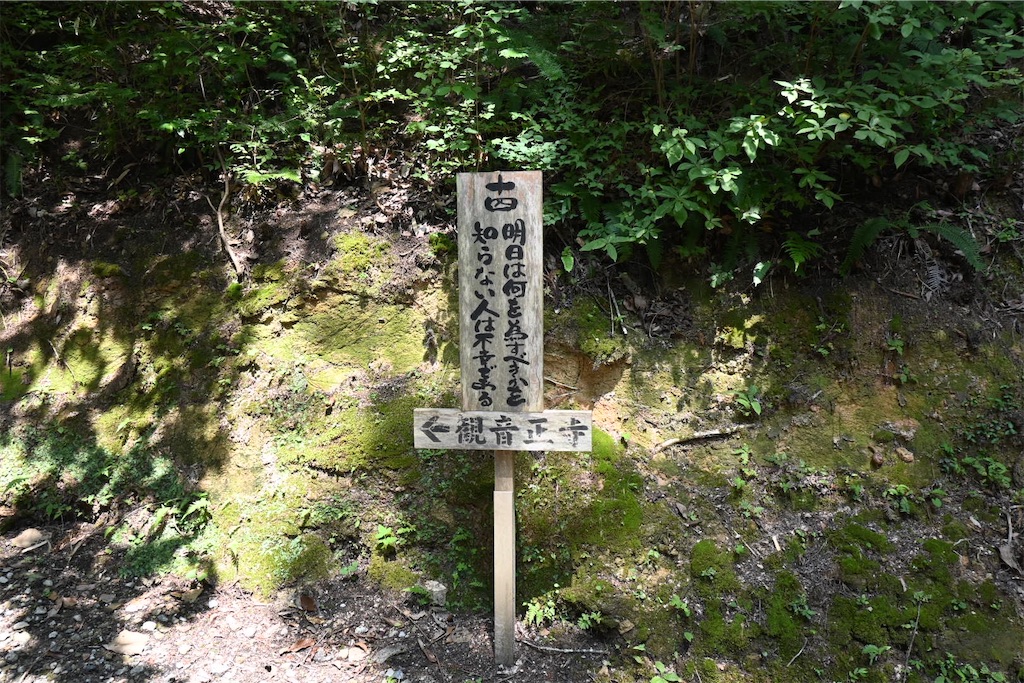 f:id:mp87:20250815225718j:image