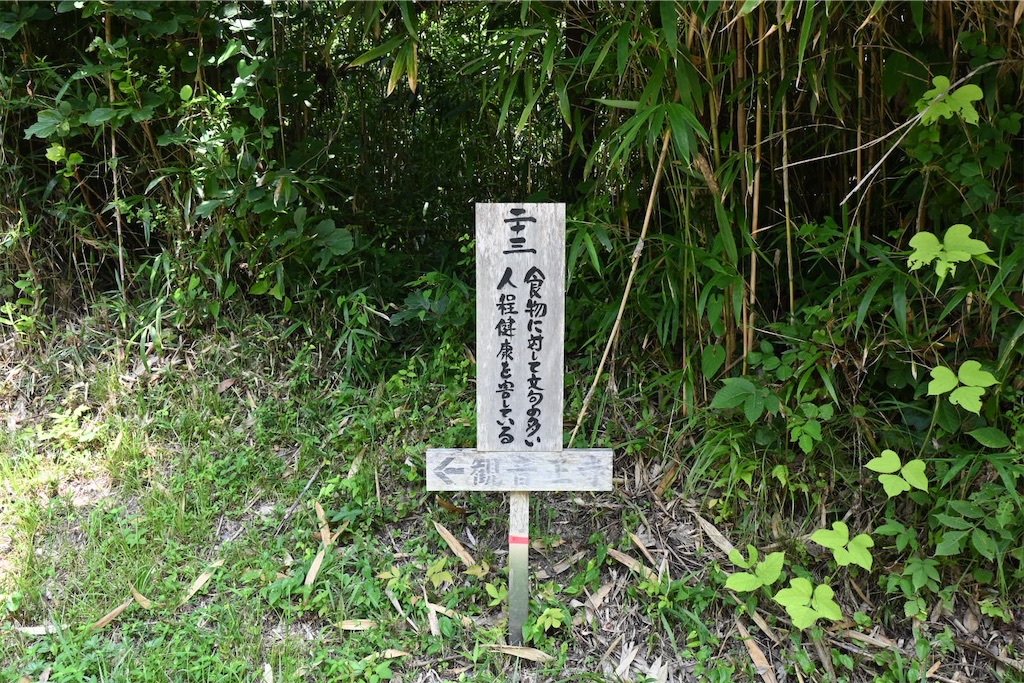 f:id:mp87:20250815225722j:image