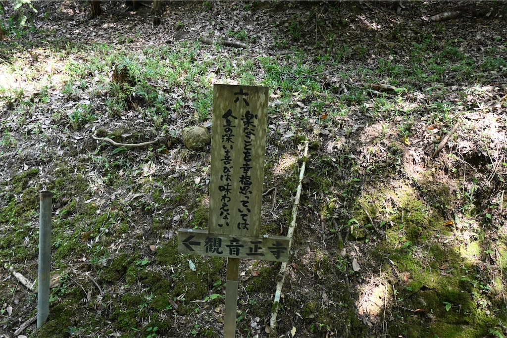 f:id:mp87:20250815225734j:image