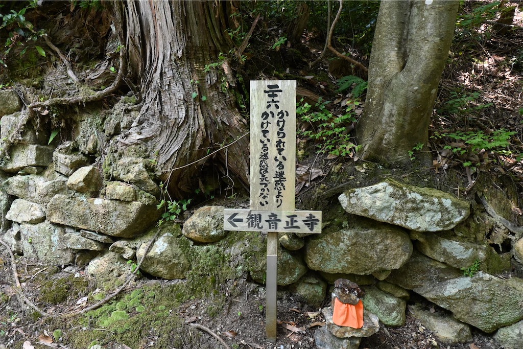 f:id:mp87:20250815225738j:image