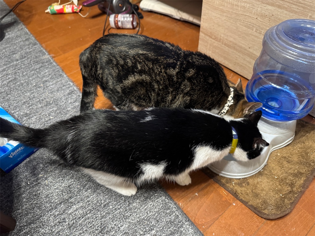 f:id:mp87:20250823213604j:image
