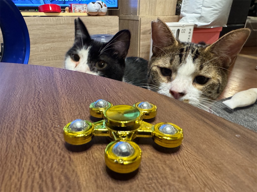 f:id:mp87:20250908210716j:image