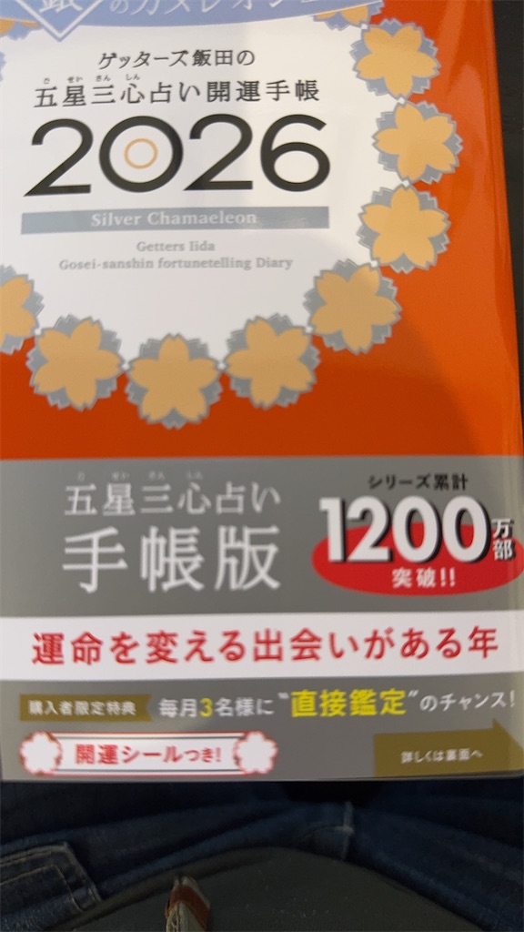 f:id:mp87:20250911205115j:image