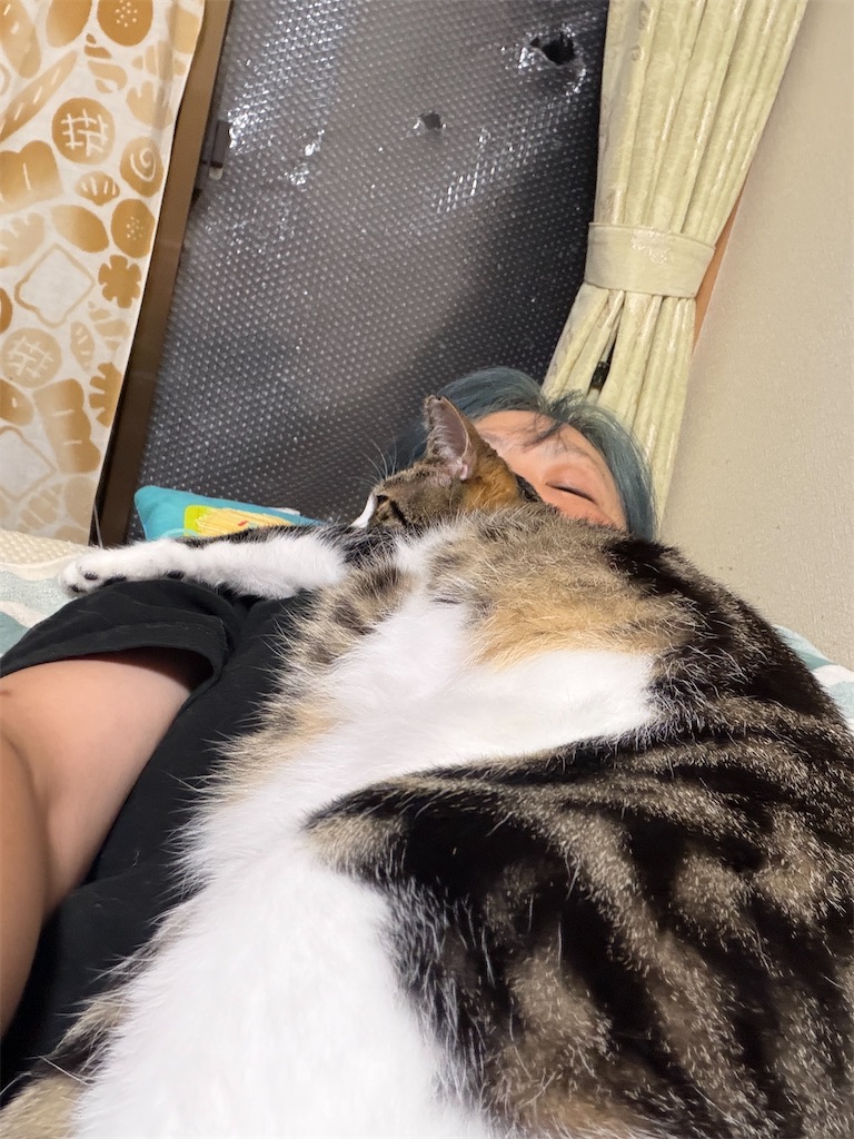 f:id:mp87:20251001213108j:image