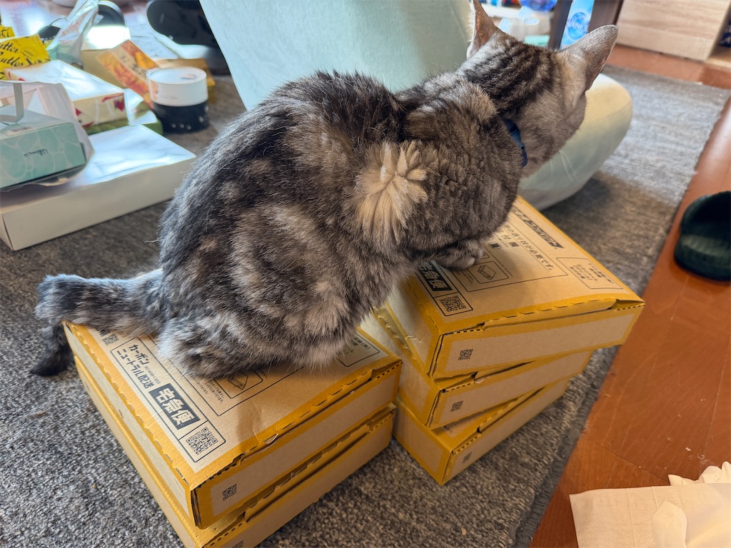 f:id:mp87:20251014212053j:image