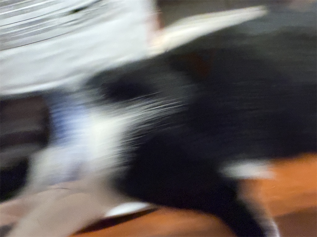 f:id:mp87:20251115224439j:image f:id:mp87:20251115224439j:image