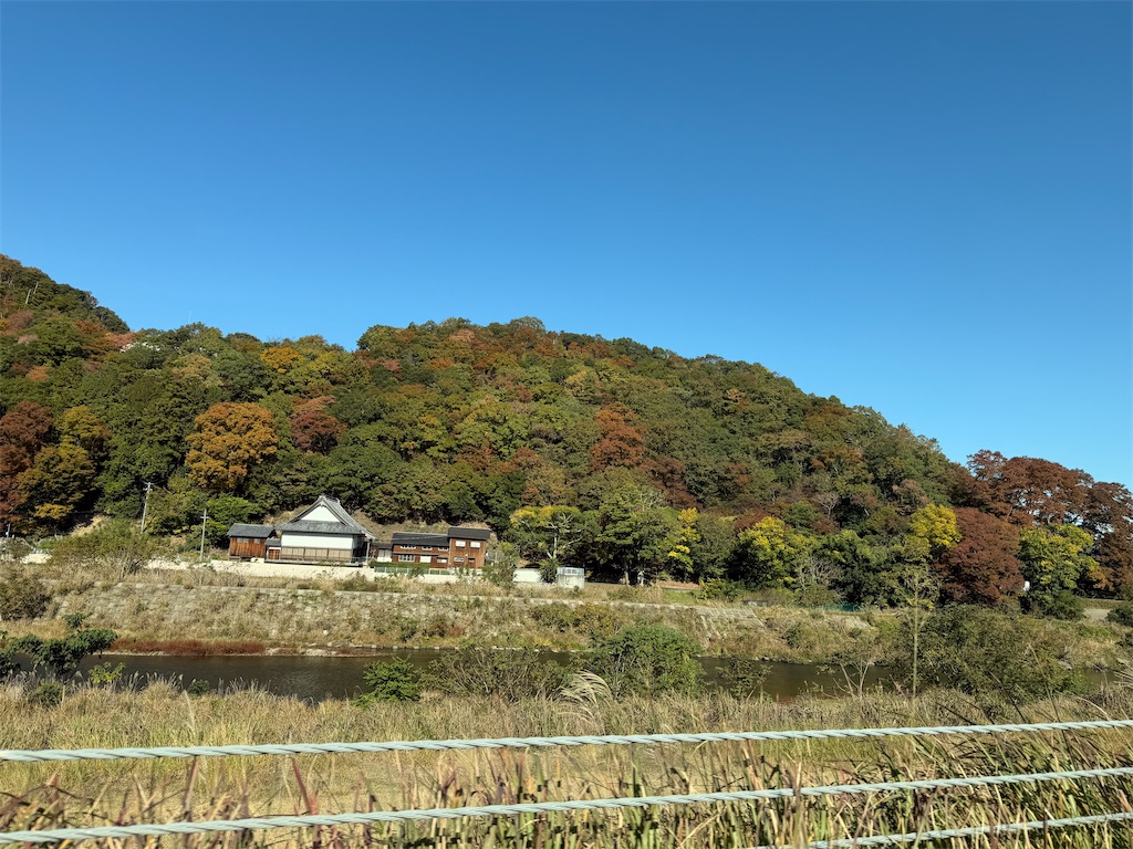 f:id:mp87:20251116210138j:image