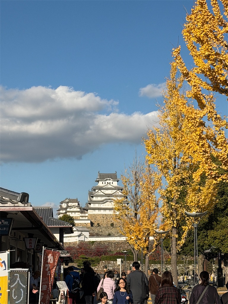 f:id:mp87:20251130211755j:image