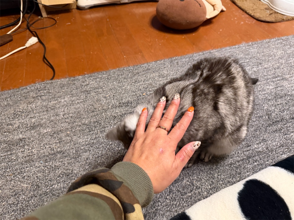 f:id:mp87:20251130213946j:image