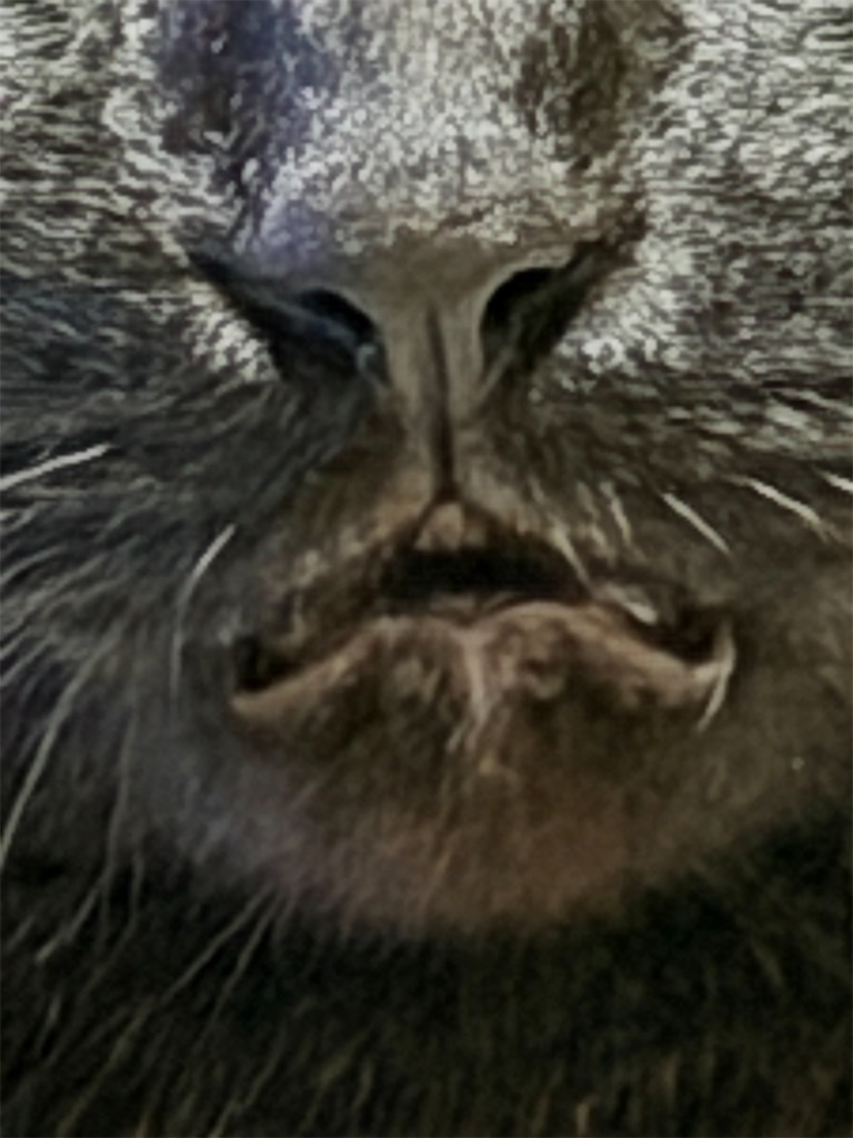 f:id:mp87:20251218222610j:image f:id:mp87:20251218222610j:image