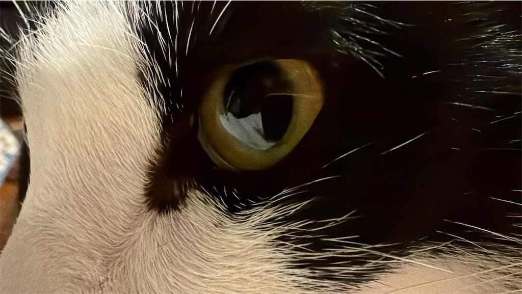 f:id:mp87:20251221204335j:image