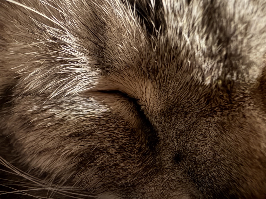 f:id:mp87:20251222211619j:image