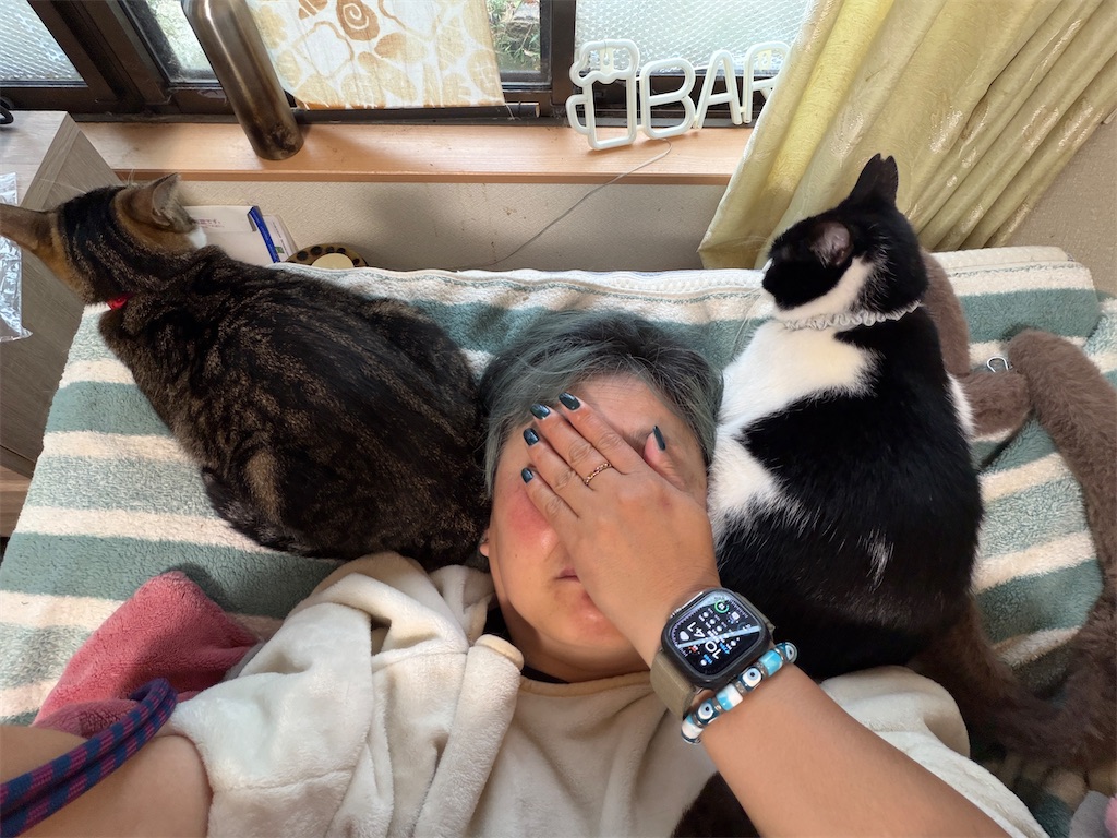 f:id:mp87:20251222212201j:image