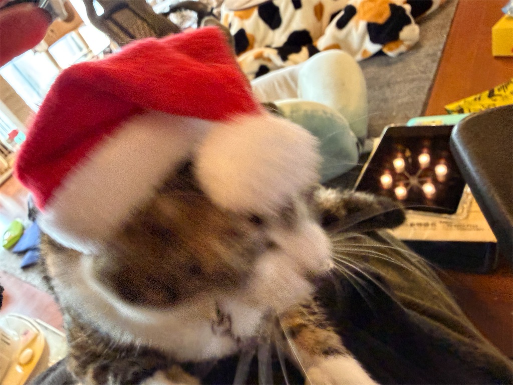 f:id:mp87:20251224210009j:image