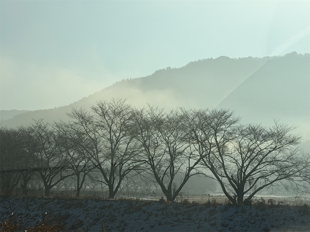 f:id:mp87:20251229200755j:image