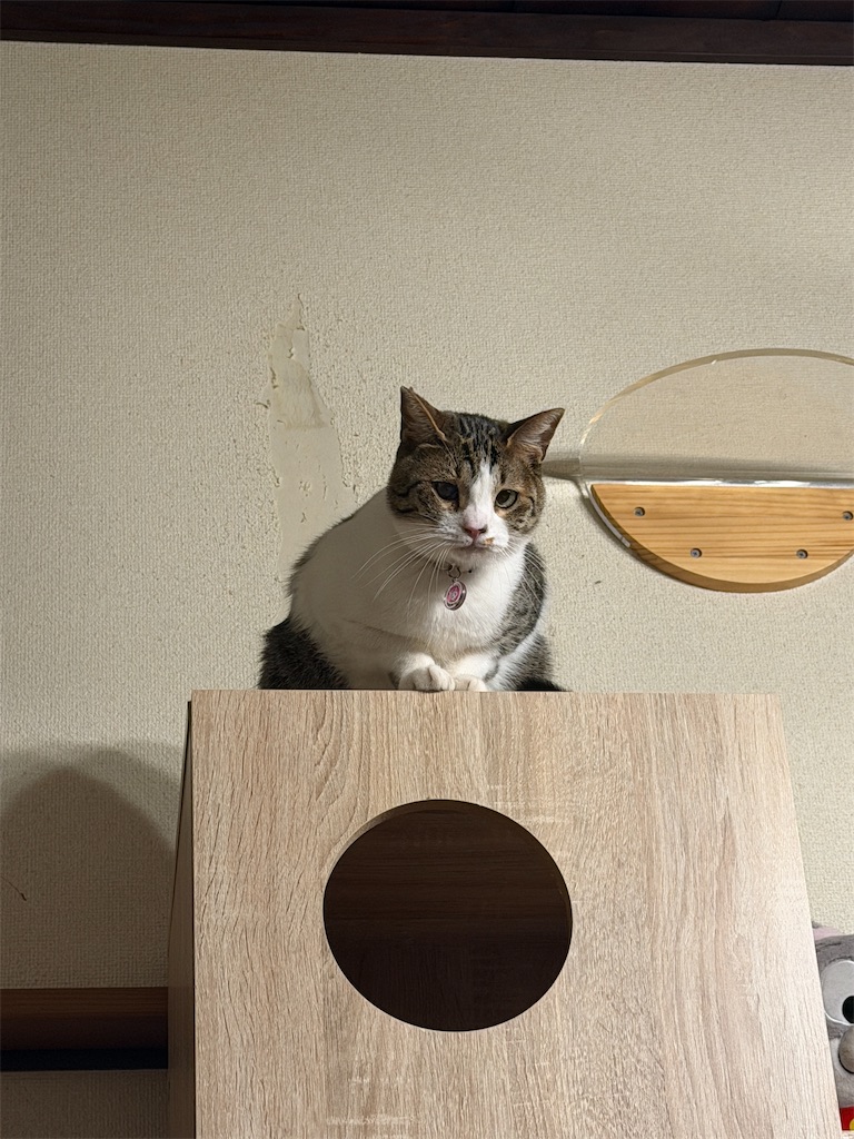 f:id:mp87:20260107213908j:image