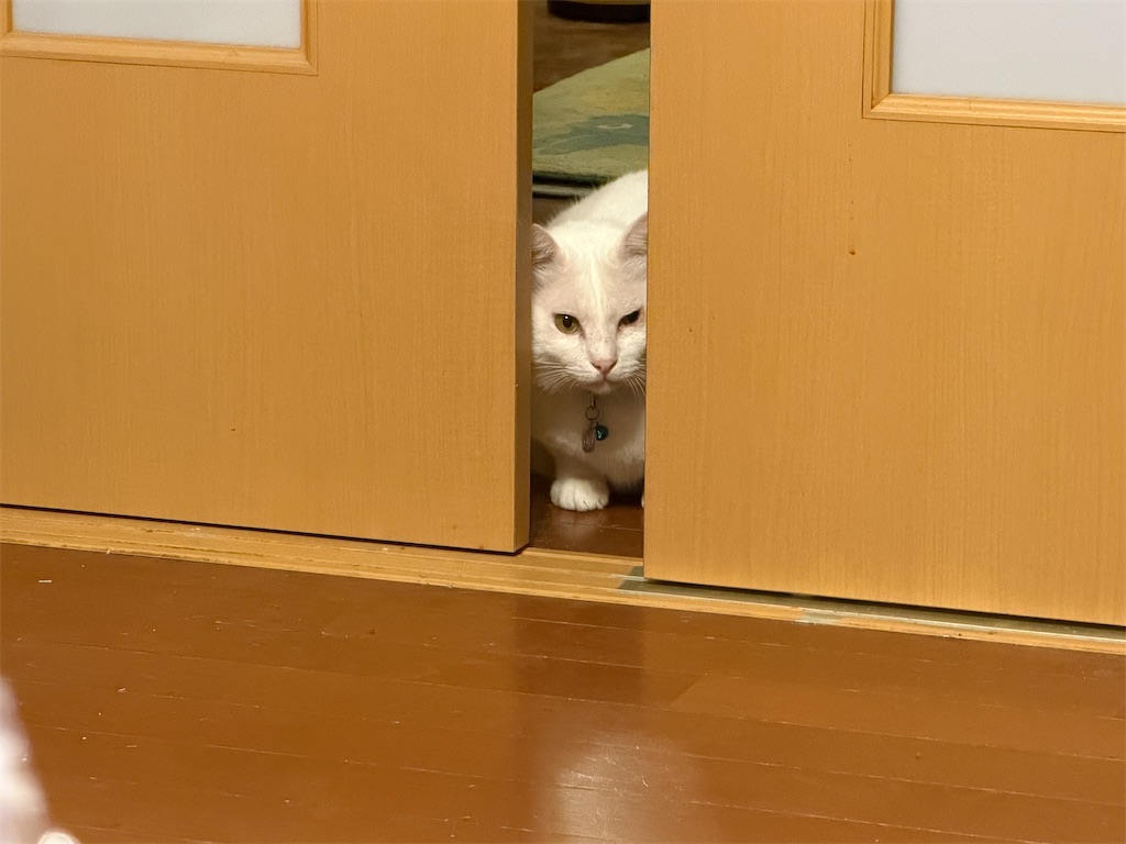 f:id:mp87:20260110203219j:image