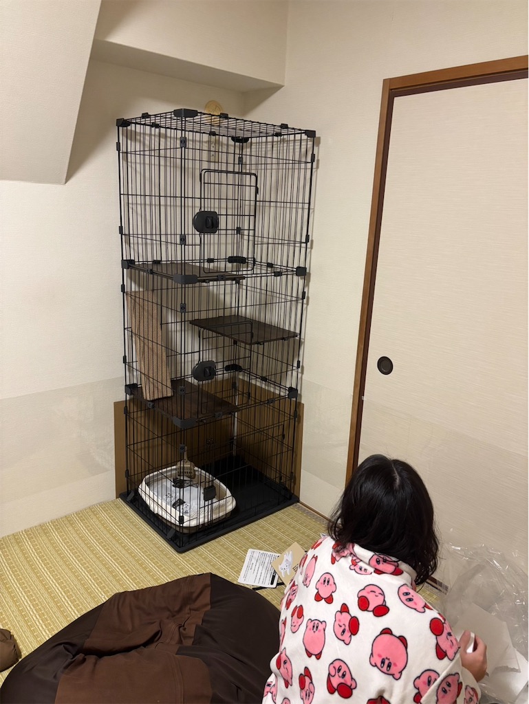 f:id:mp87:20260118230526j:image