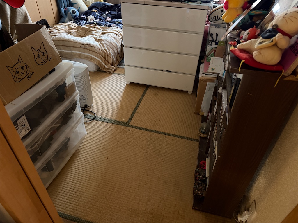 f:id:mp87:20260121215128j:image