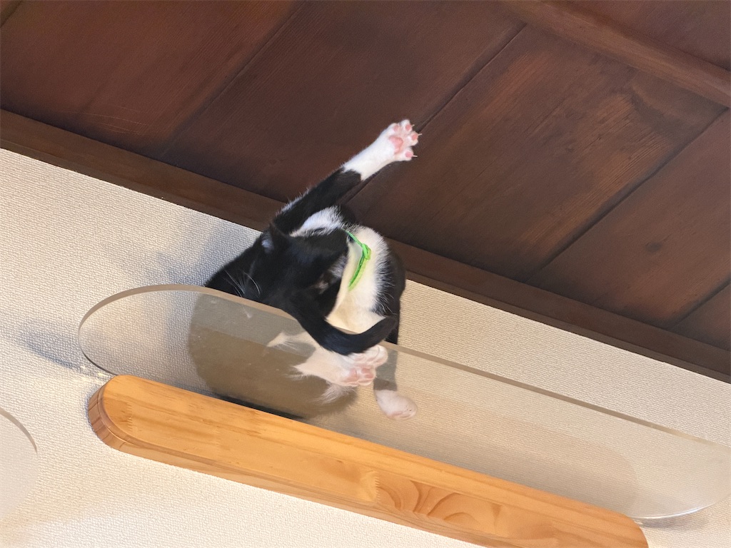f:id:mp87:20260125220136j:image