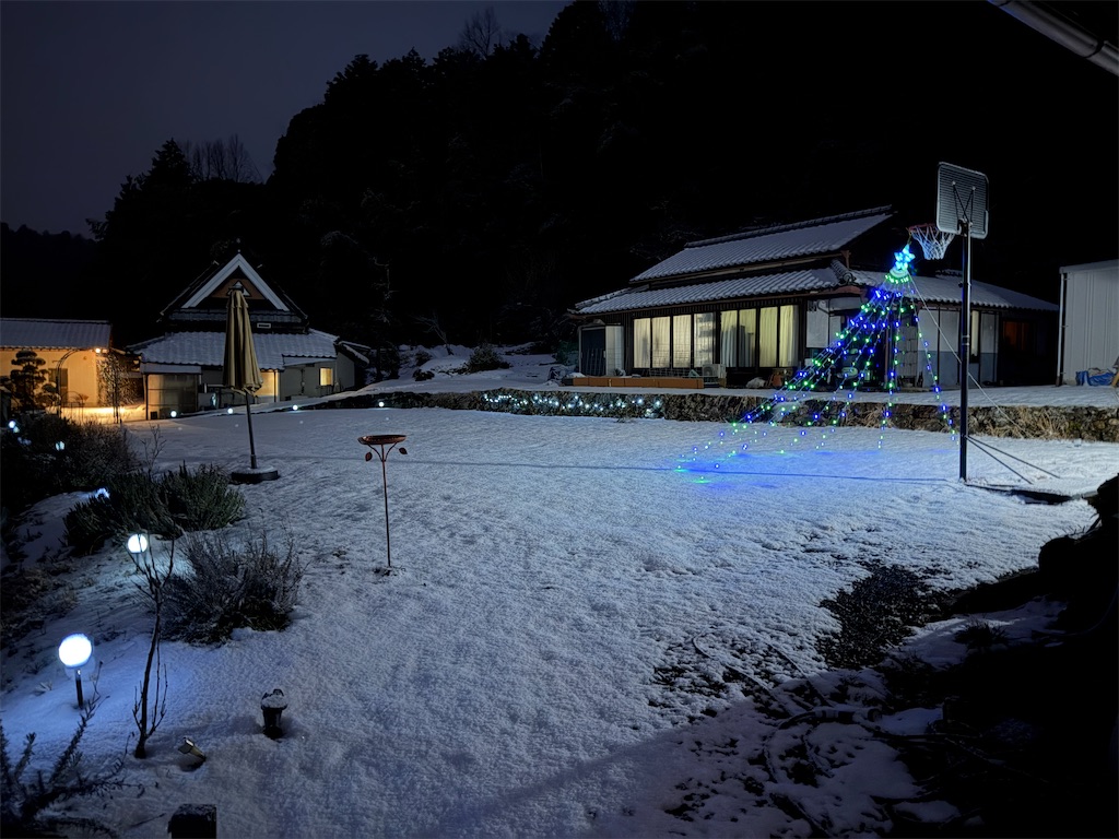 f:id:mp87:20260125220251j:image