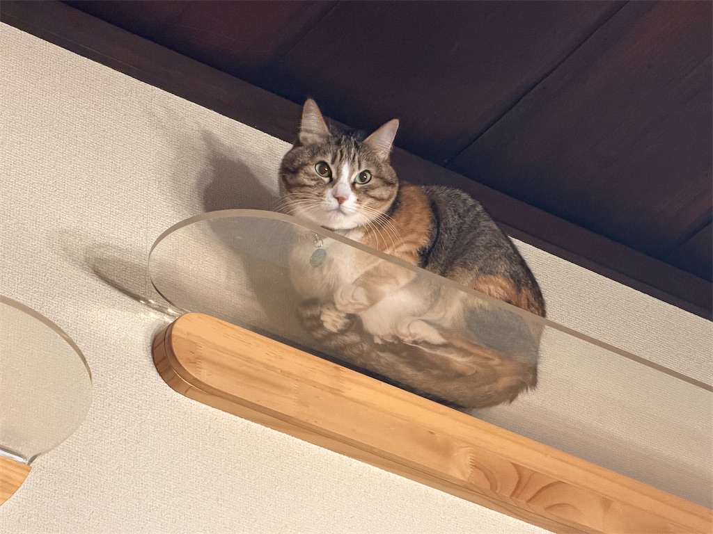 f:id:mp87:20260127232340j:image