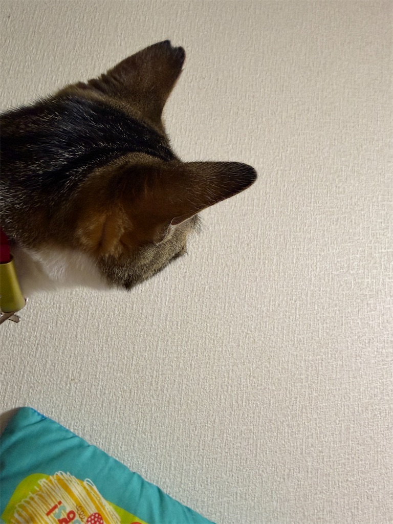 f:id:mp87:20260215215259j:image
