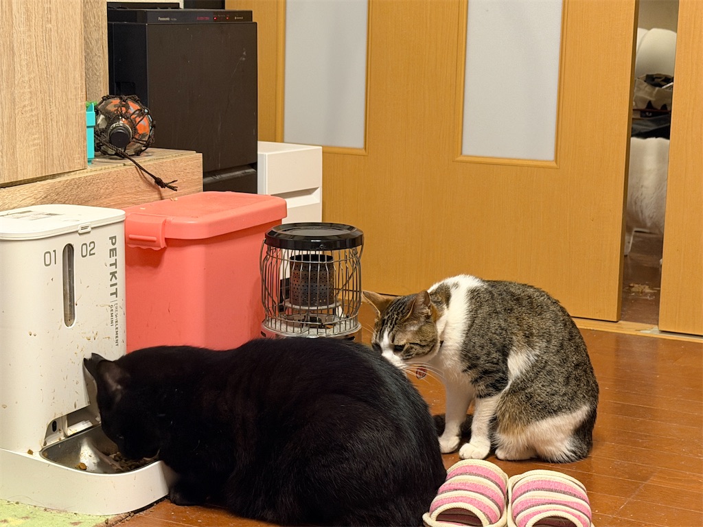 f:id:mp87:20260220215034j:image