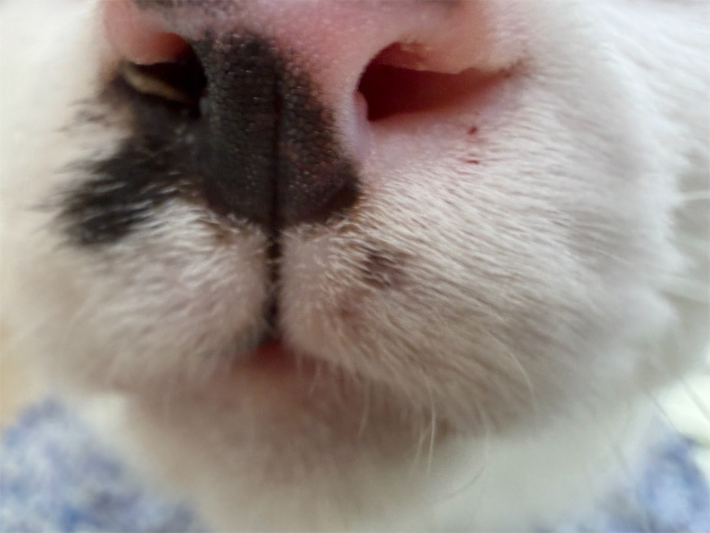 f:id:mp87:20260228214544j:image